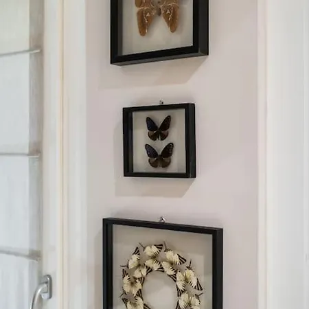 Daire Casa Delle Farfalle